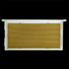 Hive Frame